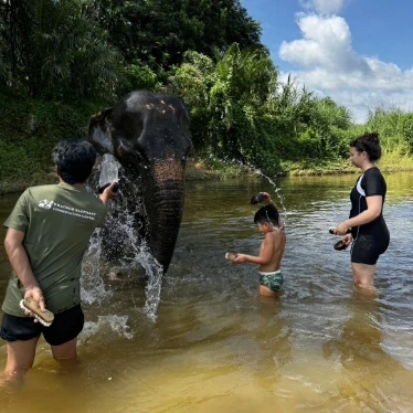 Elephant Experience