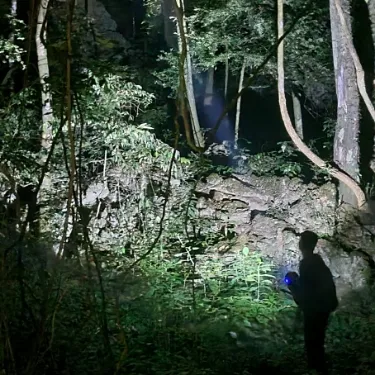 Khao Sok Night Safari